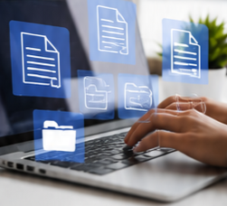 Data Entry Work